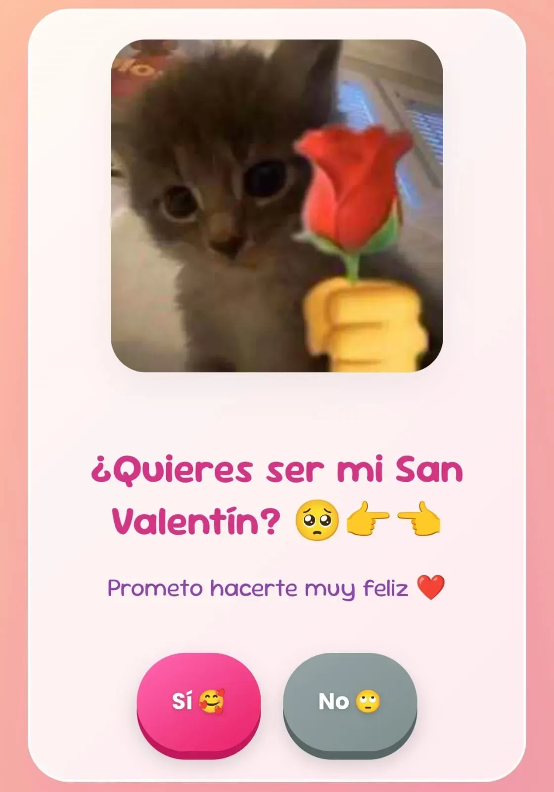 Vista previa del código ¿Quieres ser mi San Valentín? 💗🥺